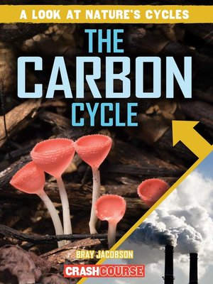 cover image of The Carbon Cycle